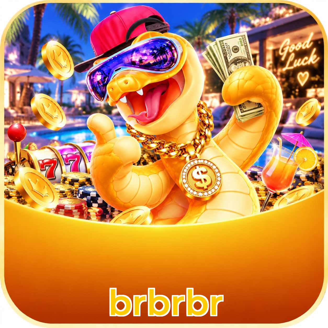 brbrbr VIP Program
